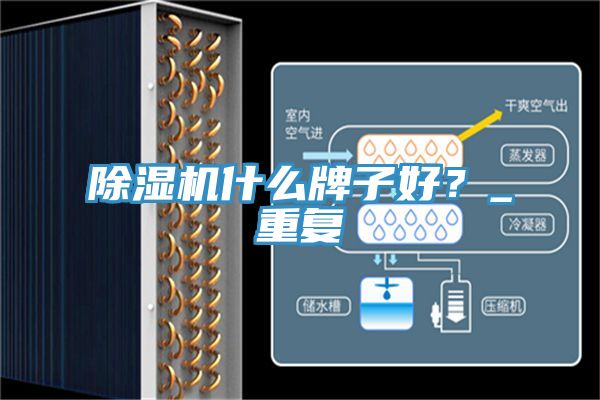 除濕機(jī)什么牌子好？_重復(fù)