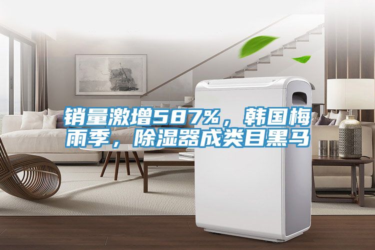 銷量激增587%，韓國(guó)梅雨季，除濕器成類目黑馬