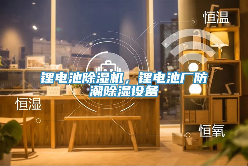 鋰電池除濕機(jī)，鋰電池廠防潮除濕設(shè)備