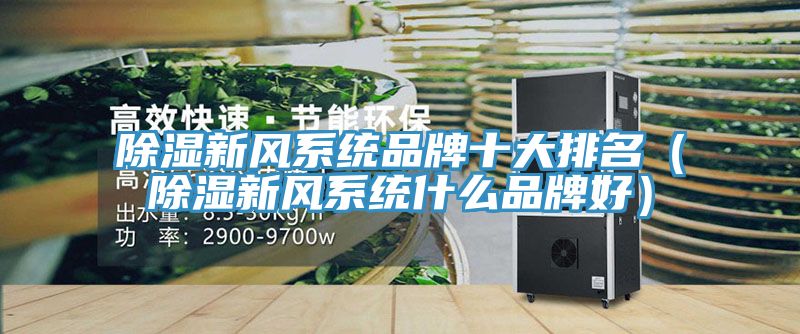 除濕新風系統(tǒng)品牌十大排名（除濕新風系統(tǒng)什么品牌好）