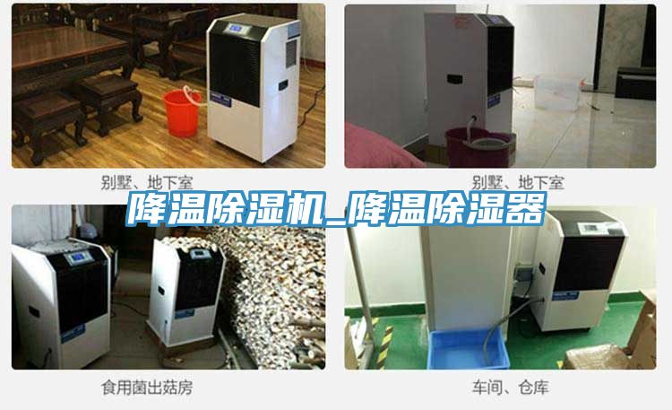 降溫除濕機(jī)_降溫除濕器