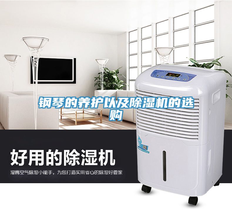 鋼琴的養(yǎng)護(hù)以及除濕機(jī)的選購(gòu)