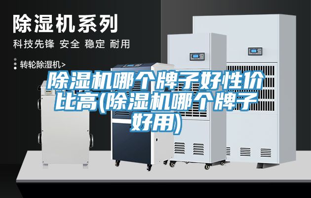 除濕機(jī)哪個(gè)牌子好性?xún)r(jià)比高(除濕機(jī)哪個(gè)牌子好用)