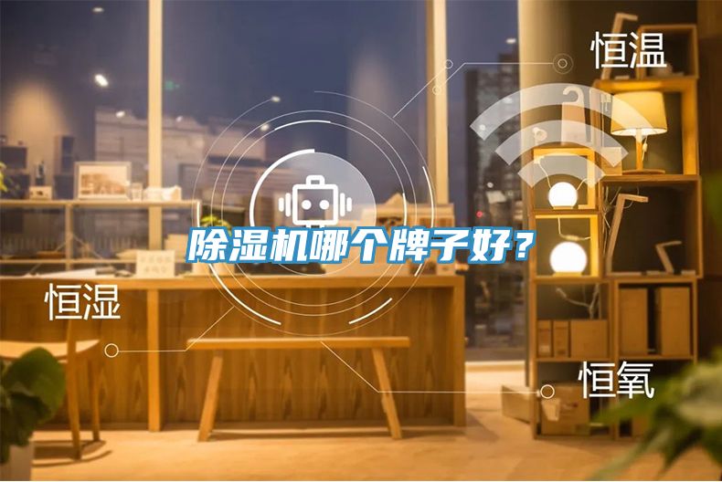 除濕機(jī)哪個牌子好？