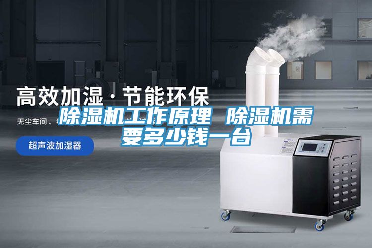 除濕機(jī)工作原理 除濕機(jī)需要多少錢一臺(tái)