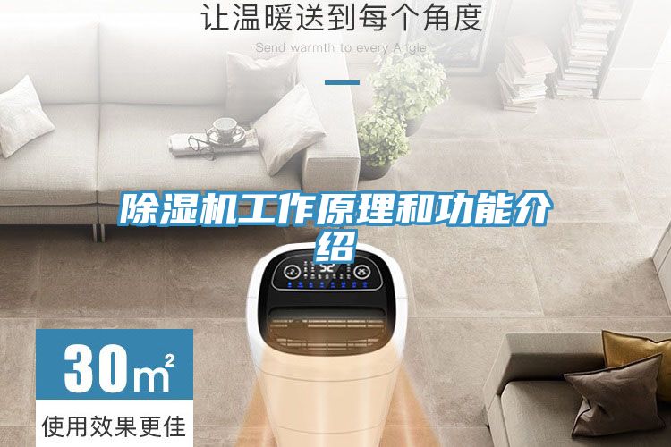 除濕機(jī)工作原理和功能介紹