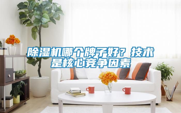 除濕機(jī)哪個牌子好？技術(shù)是核心競爭因素