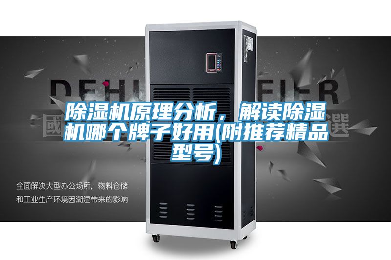 除濕機(jī)原理分析，解讀除濕機(jī)哪個(gè)牌子好用(附推薦精品型號(hào))