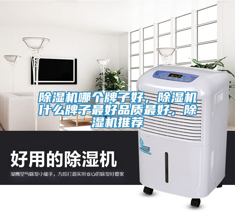 除濕機(jī)哪個牌子好，除濕機(jī)什么牌子最好品質(zhì)最好，除濕機(jī)推薦