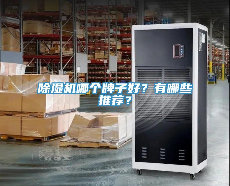 除濕機(jī)哪個牌子好？有哪些推薦？