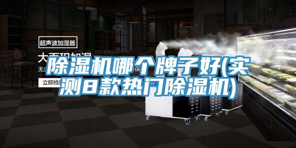 除濕機(jī)哪個(gè)牌子好(實(shí)測(cè)8款熱門(mén)除濕機(jī))