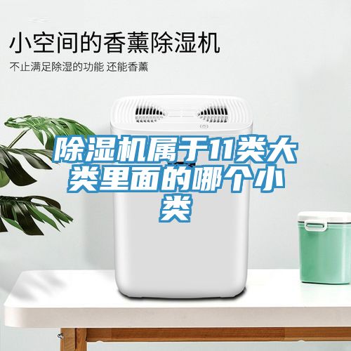 除濕機(jī)屬于11類大類里面的哪個(gè)小類