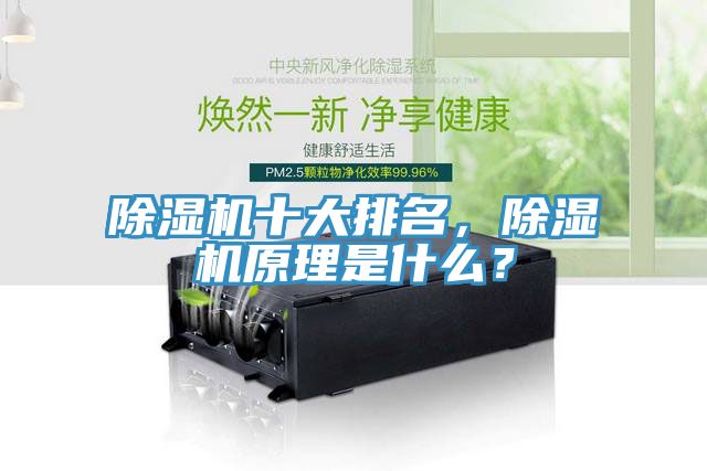 除濕機(jī)十大排名，除濕機(jī)原理是什么？