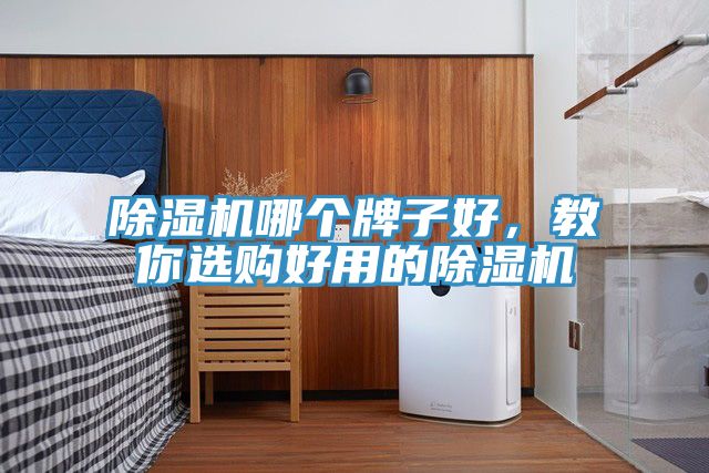 除濕機(jī)哪個牌子好，教你選購好用的除濕機(jī)