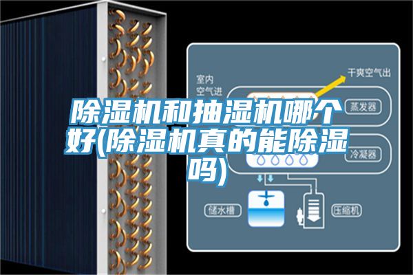 除濕機(jī)和抽濕機(jī)哪個(gè)好(除濕機(jī)真的能除濕嗎)