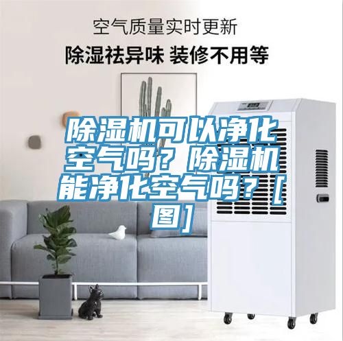 除濕機可以凈化空氣嗎？除濕機能凈化空氣嗎？[圖]