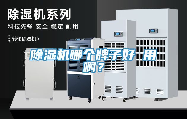 除濕機(jī)哪個(gè)牌子好 用??？
