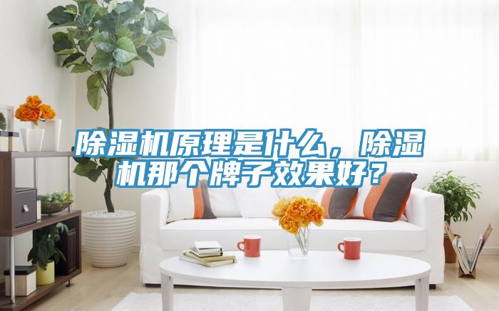 除濕機(jī)原理是什么，除濕機(jī)那個(gè)牌子效果好？