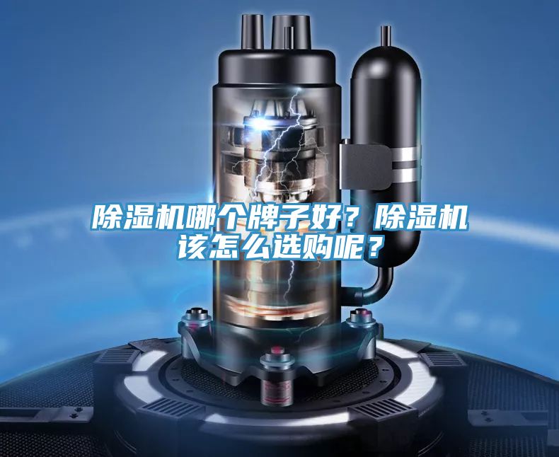 除濕機(jī)哪個(gè)牌子好？除濕機(jī)該怎么選購(gòu)呢？