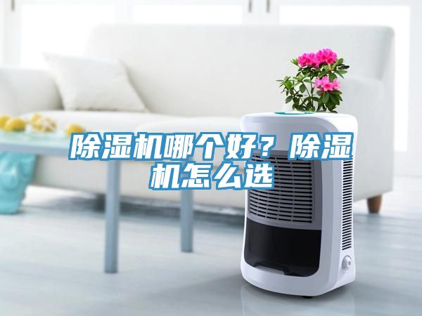 除濕機(jī)哪個(gè)好？除濕機(jī)怎么選