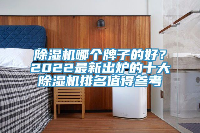 除濕機(jī)哪個(gè)牌子的好？2022最新出爐的十大除濕機(jī)排名值得參考