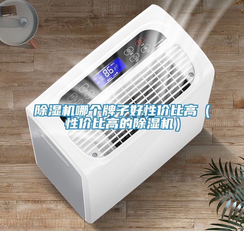 除濕機(jī)哪個(gè)牌子好性?xún)r(jià)比高（性?xún)r(jià)比高的除濕機(jī)）
