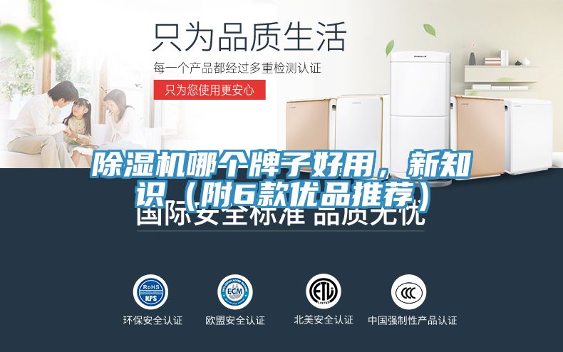 除濕機(jī)哪個(gè)牌子好用，新知識(shí)（附6款優(yōu)品推薦）
