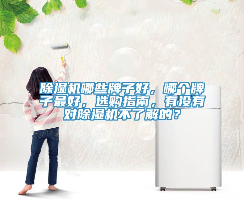 除濕機(jī)哪些牌子好，哪個(gè)牌子最好，選購(gòu)指南，有沒(méi)有對(duì)除濕機(jī)不了解的？