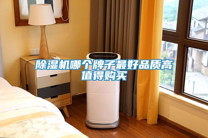 除濕機(jī)哪個(gè)牌子最好品質(zhì)高值得購(gòu)買