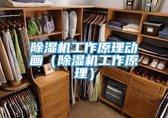 除濕機(jī)工作原理動(dòng)畫(huà)（除濕機(jī)工作原理）