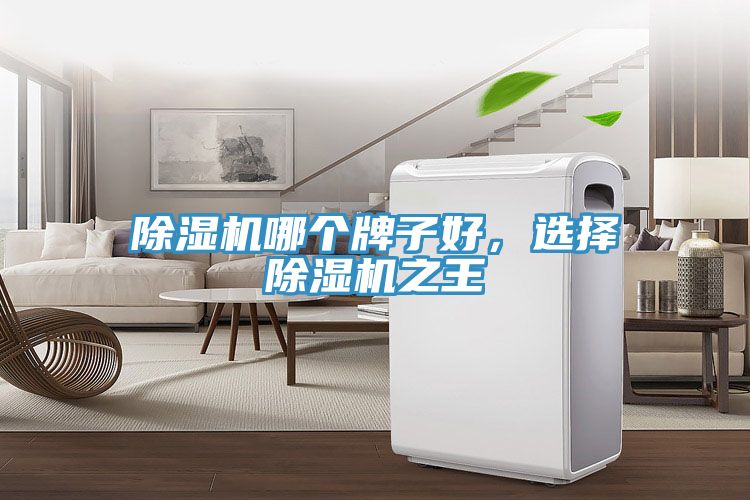 除濕機(jī)哪個牌子好，選擇除濕機(jī)之王