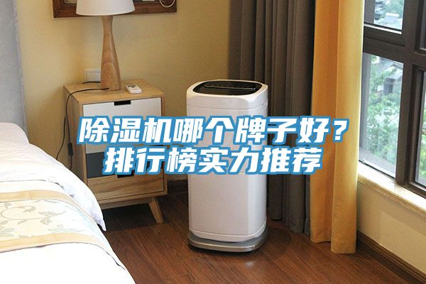 除濕機(jī)哪個牌子好？排行榜實力推薦