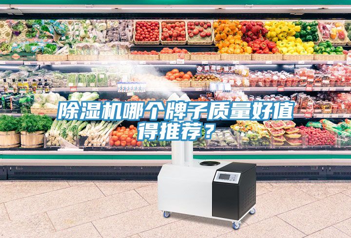 除濕機(jī)哪個(gè)牌子質(zhì)量好值得推薦？