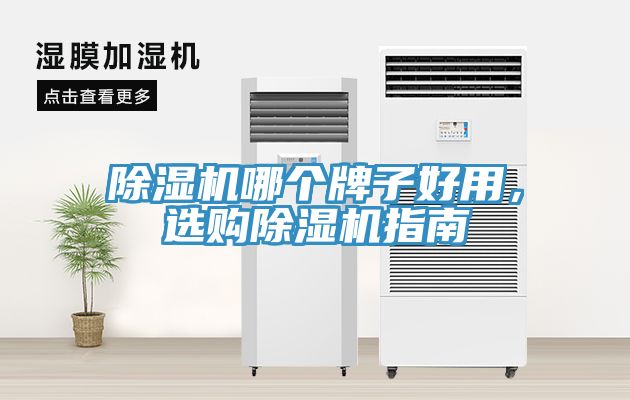 除濕機(jī)哪個(gè)牌子好用，選購(gòu)除濕機(jī)指南