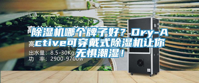 除濕機(jī)哪個牌子好？Dry-Active可穿戴式除濕機(jī)讓你無懼潮濕！