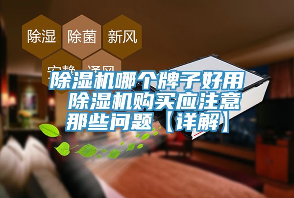 除濕機(jī)哪個(gè)牌子好用 除濕機(jī)購(gòu)買(mǎi)應(yīng)注意那些問(wèn)題【詳解】