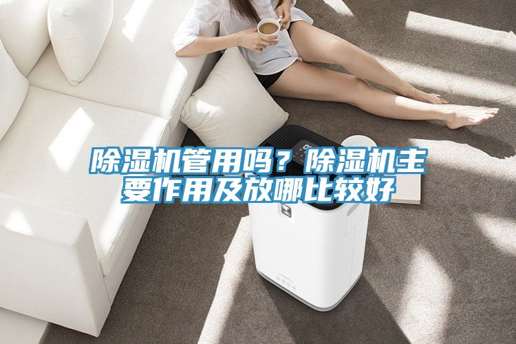 除濕機管用嗎？除濕機主要作用及放哪比較好