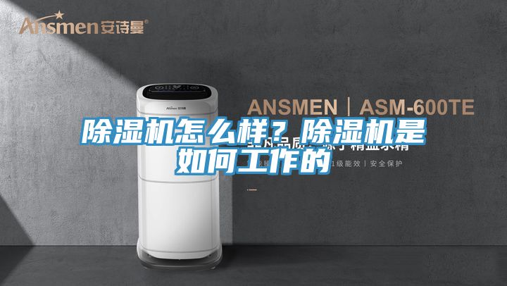 除濕機怎么樣？除濕機是如何工作的