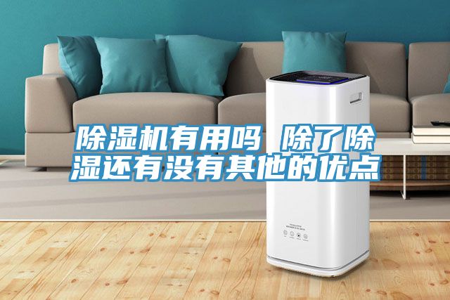 除濕機(jī)有用嗎 除了除濕還有沒(méi)有其他的優(yōu)點(diǎn)
