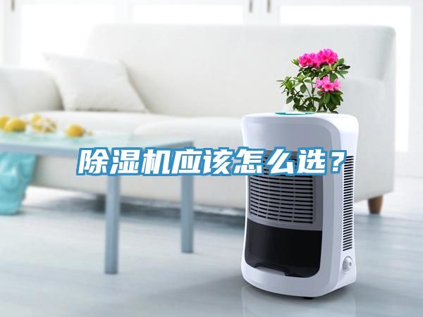 除濕機(jī)應(yīng)該怎么選？