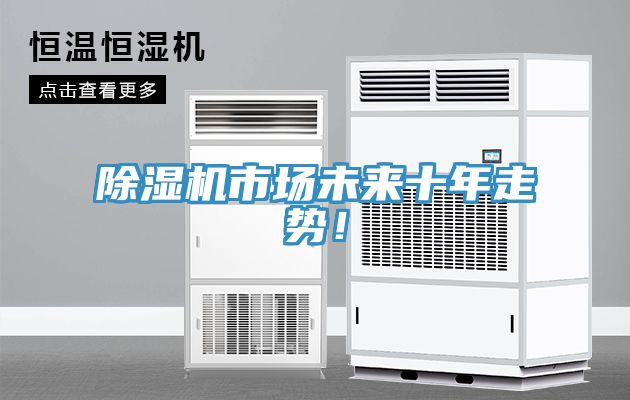 除濕機(jī)市場(chǎng)未來十年走勢(shì)！
