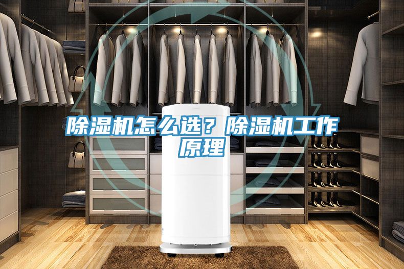 除濕機(jī)怎么選？除濕機(jī)工作原理