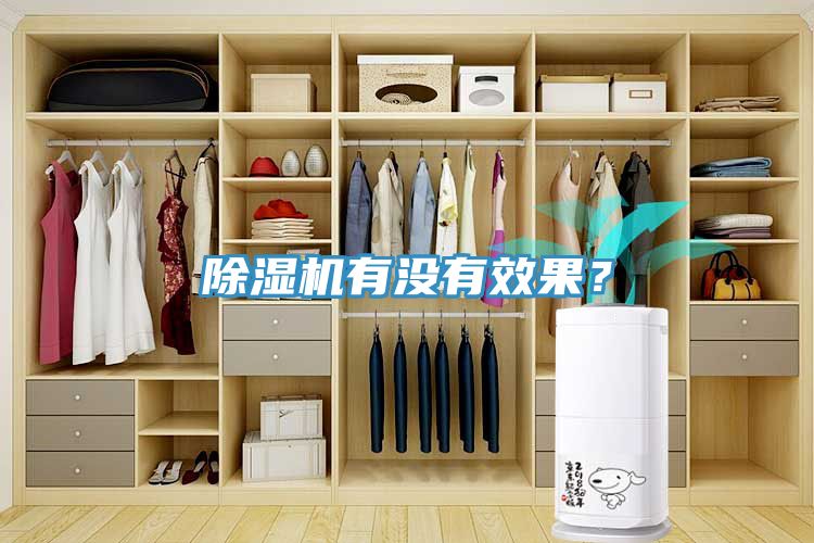 除濕機(jī)有沒(méi)有效果？