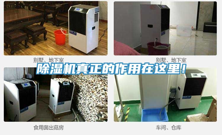 除濕機(jī)真正的作用在這里！