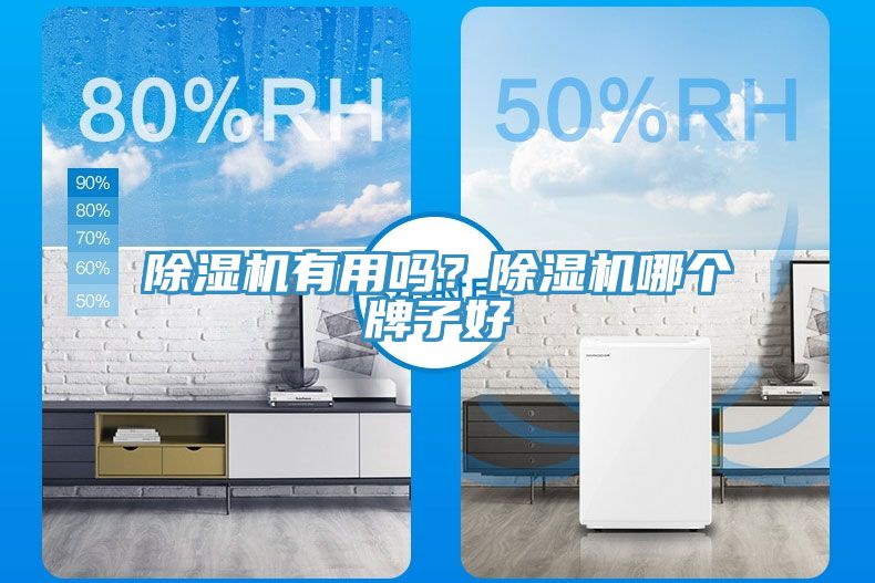 除濕機(jī)有用嗎？除濕機(jī)哪個(gè)牌子好