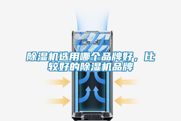 除濕機選用哪個品牌好，比較好的除濕機品牌