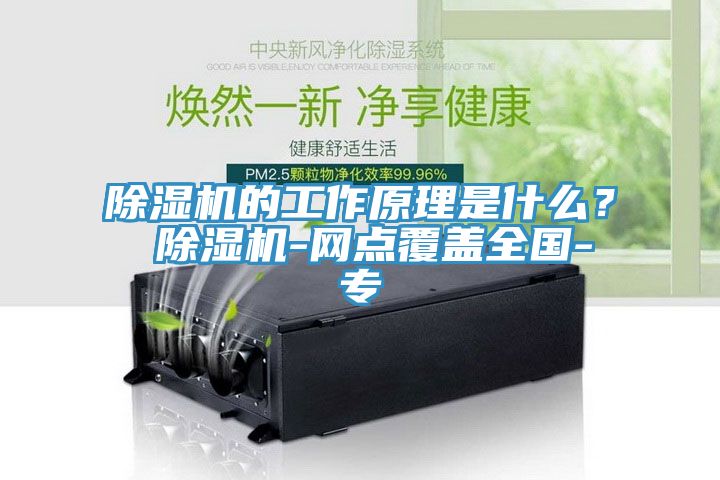 除濕機(jī)的工作原理是什么？ 除濕機(jī)-網(wǎng)點(diǎn)覆蓋全國-專