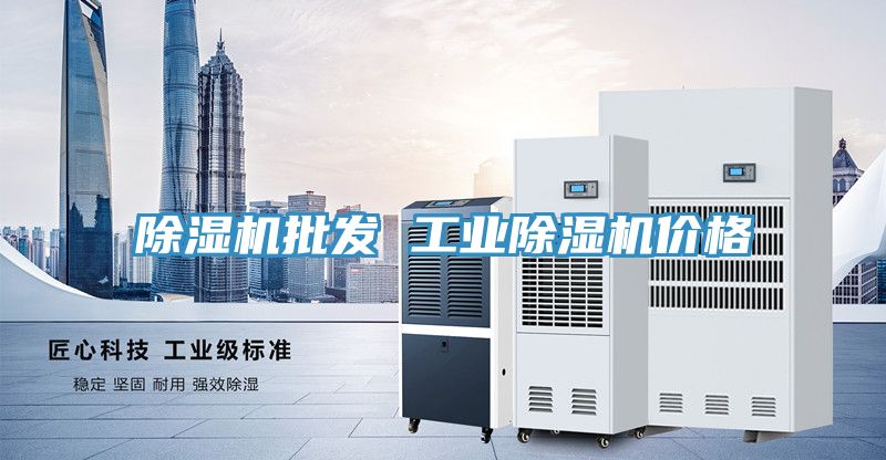 除濕機(jī)批發(fā) 工業(yè)除濕機(jī)價(jià)格