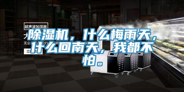 除濕機(jī)，什么梅雨天，什么回南天，我都不怕。