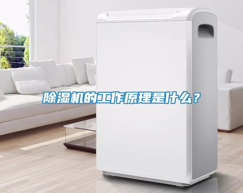 除濕機(jī)的工作原理是什么？